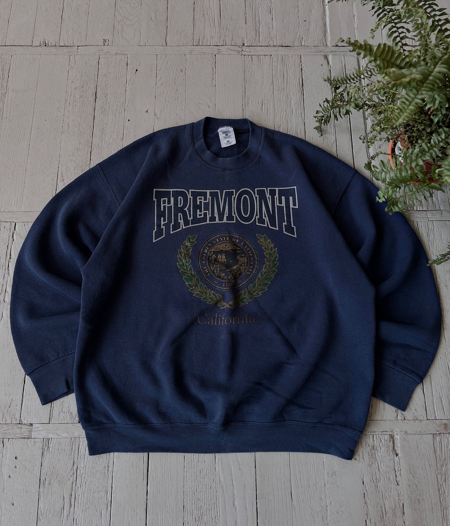 XL Vintage Fremont University Sweatshirt