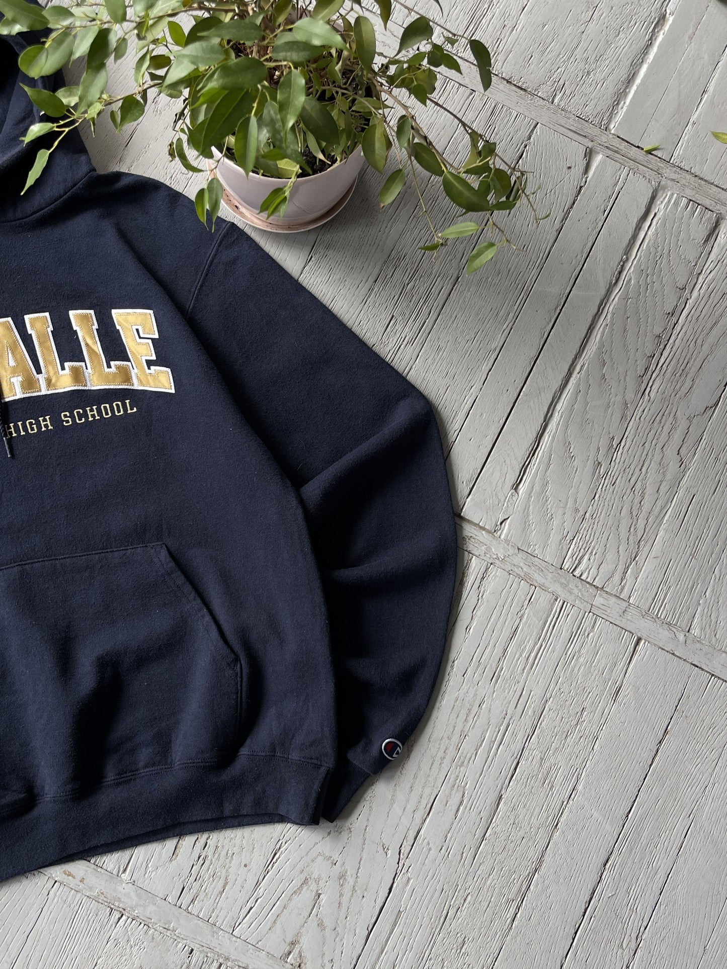 S Vintage Champion La Salle University Hooded Sweatshirt