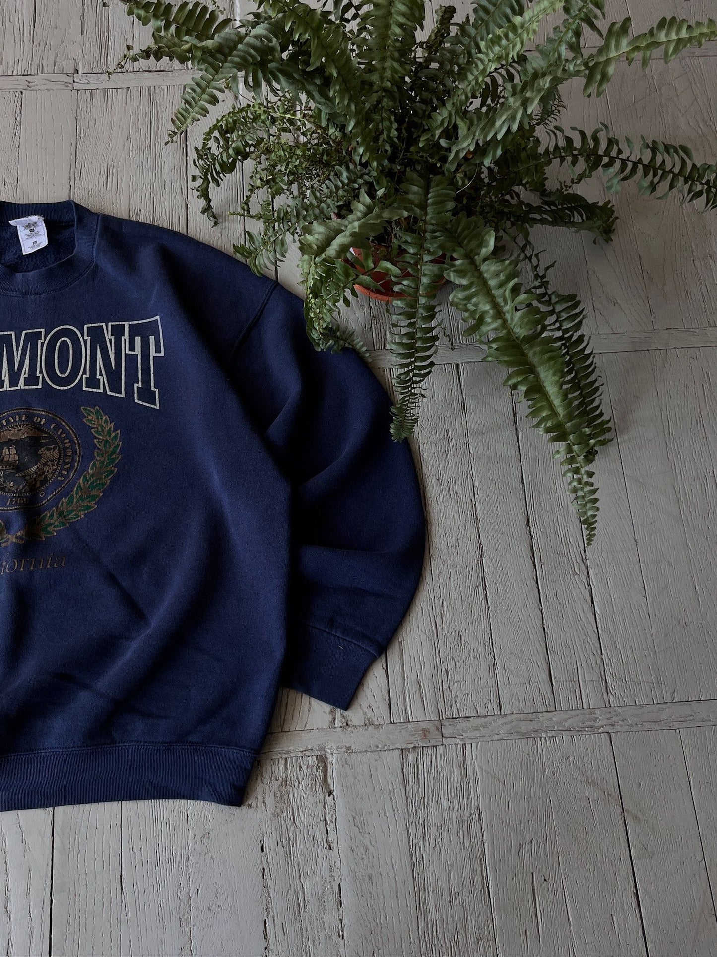 XL Vintage Fremont University Sweatshirt