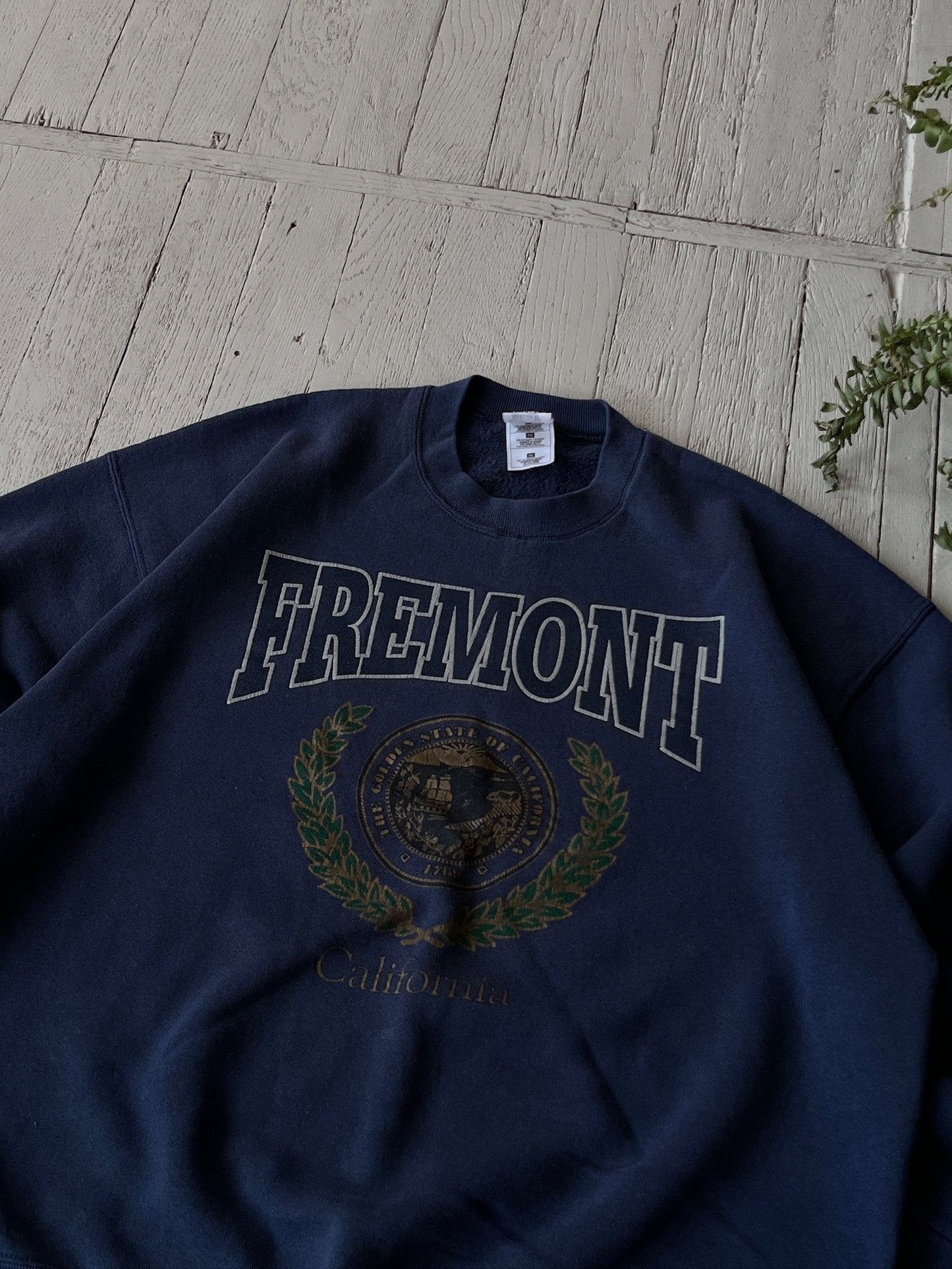 XL Vintage Fremont University Sweatshirt