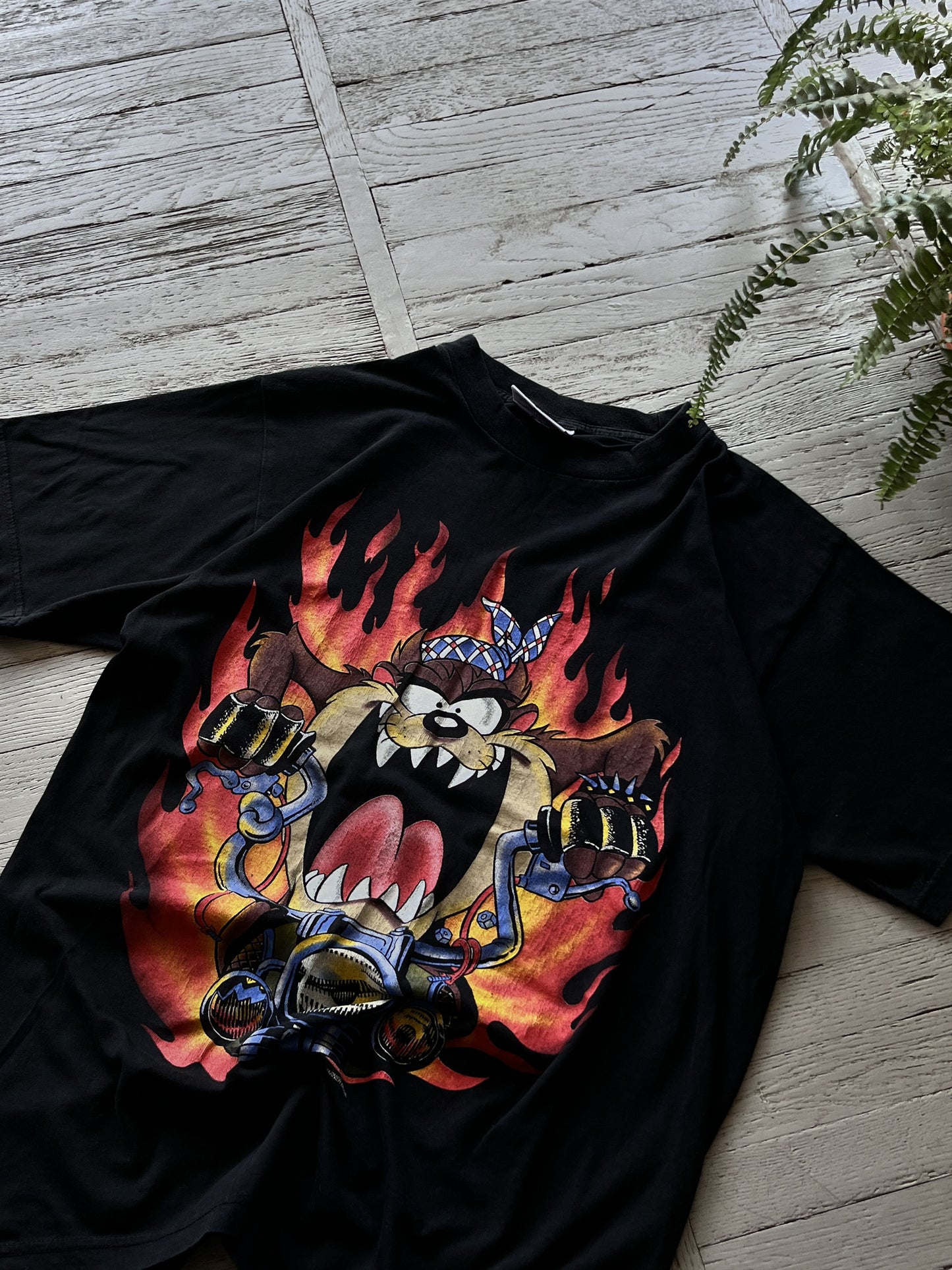 Redwood Taz Flame Graphic Tee Shirt