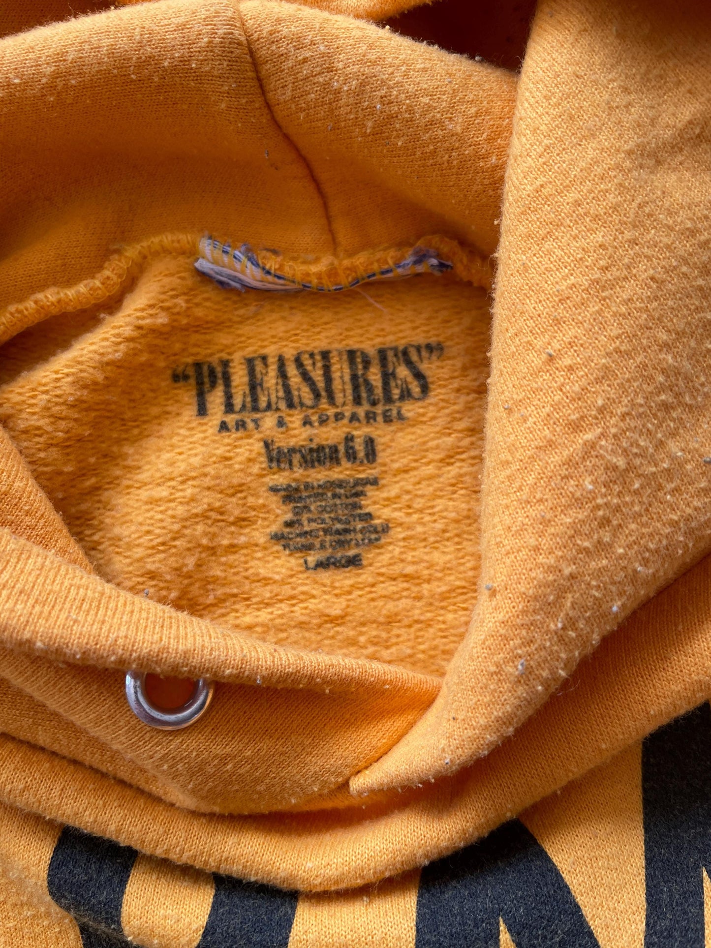 L Vintage Pleasures Champions Hooded Sweatshirt